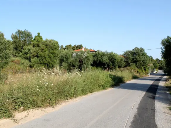 Land In Sithonia, Greece