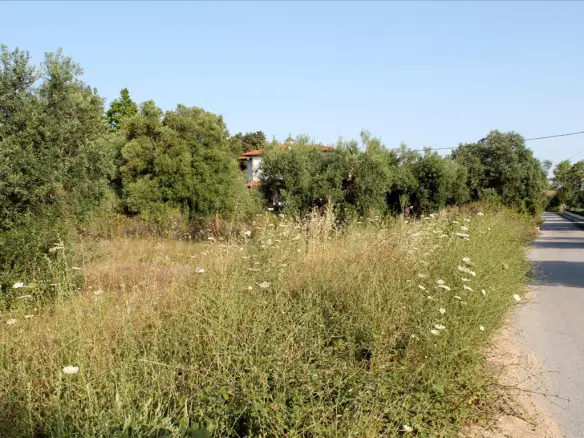 Land In Sithonia, Greece