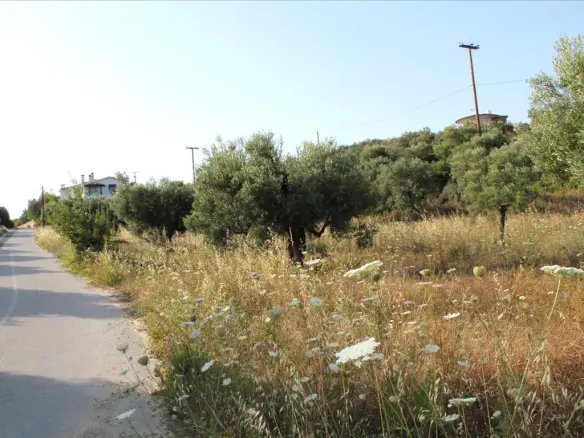Land In Sithonia, Greece