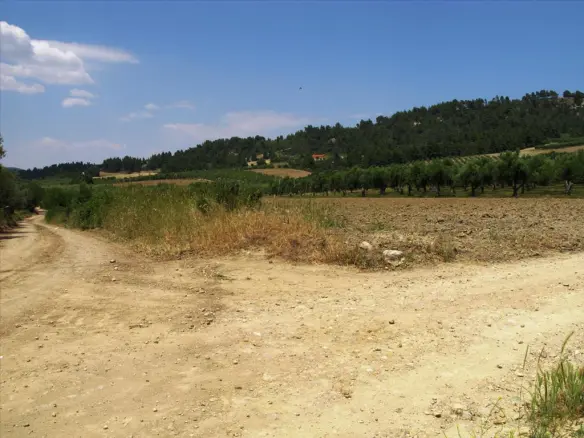 Land In Kassandra, Greece