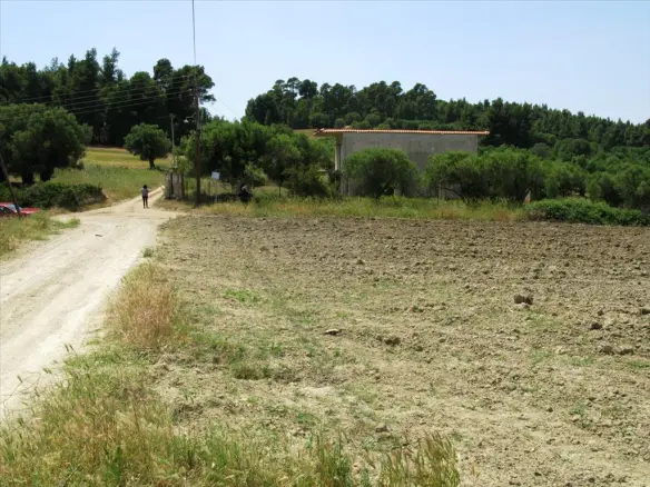 Land In Kassandra, Greece