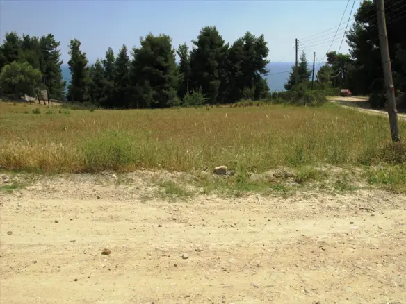Land In Kassandra, Greece