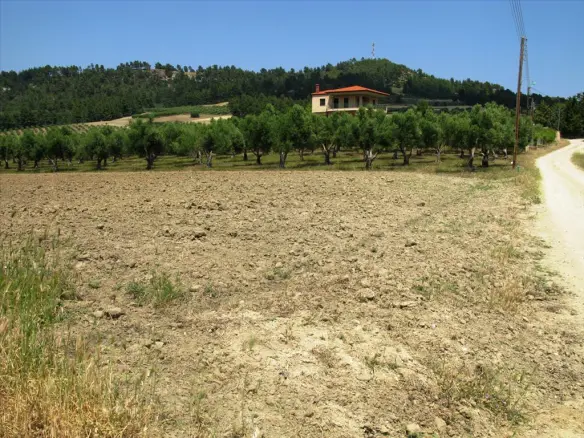 Land In Kassandra, Greece