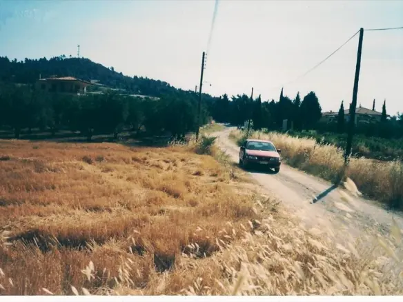 Land In Kassandra, Greece