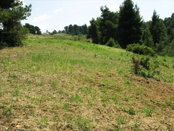 6500 M² Land Parcel Available In Kassandra, Chalkidiki