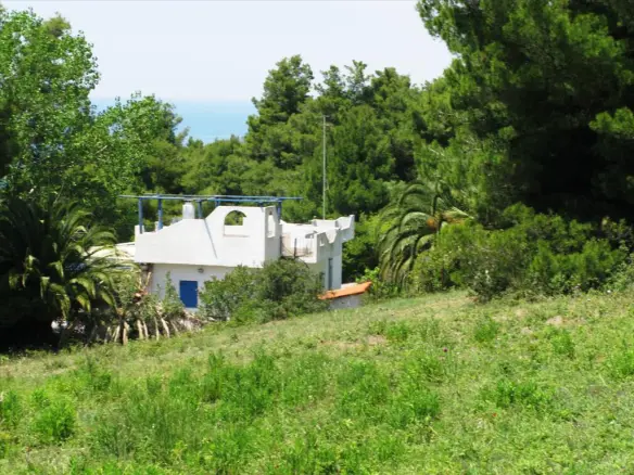 Land In Kassandra, Greece (6.500 M²)