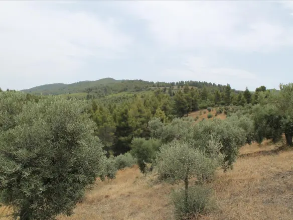 Hotel In Sithonia, Greece (685 M²)