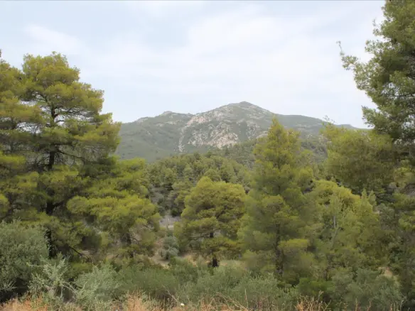 Hotel In Sithonia, Greece (685 M²)