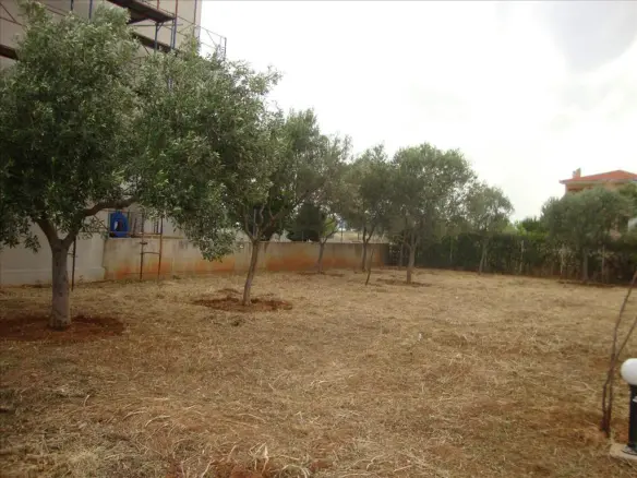 6-bedroom Detached House In Eretria, Greece (280 M²)