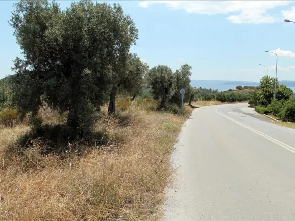 Land In Aristotle, Greece (5.568 M²)
