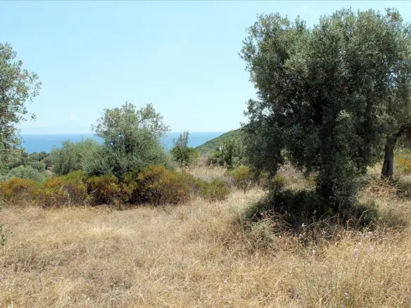 Land In Aristotle, Greece (5.568 M²)