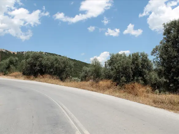 Land In Aristotle, Greece (5.568 M²)