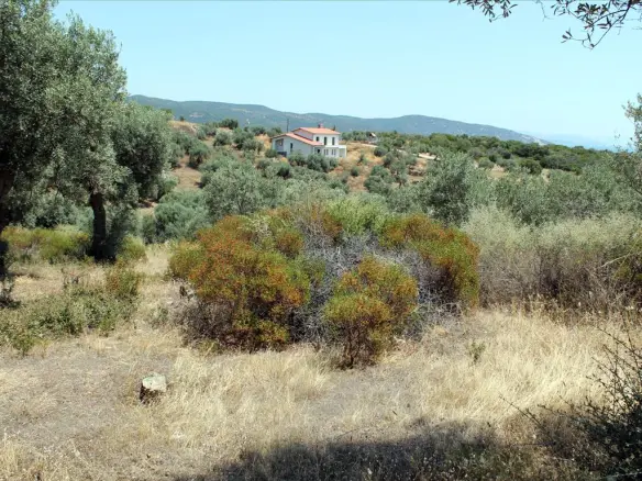 Land In Aristotle, Greece (5.568 M²)