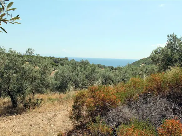 Land In Aristotle, Greece (5.568 M²)