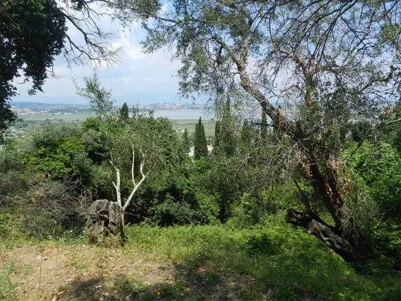 Land In Corfu, Greece