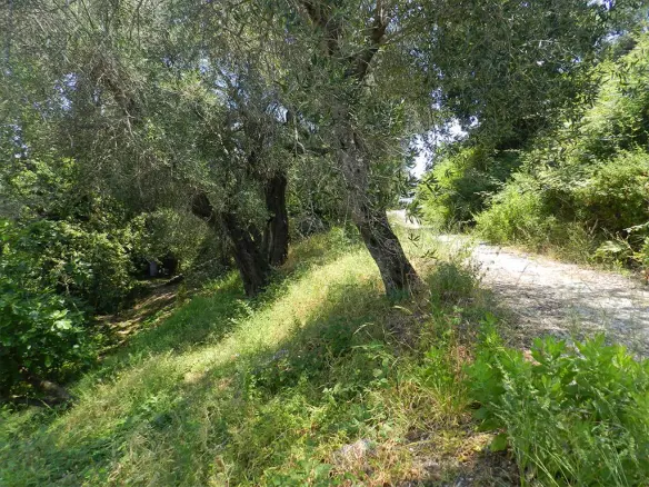 Land In Corfu, Greece