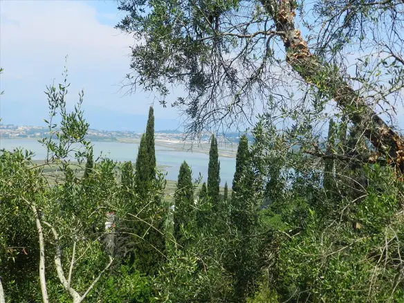 Land In Corfu, Greece