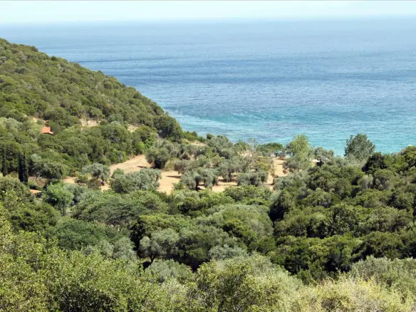 Land In Aristotle, Greece (8.620 M²)