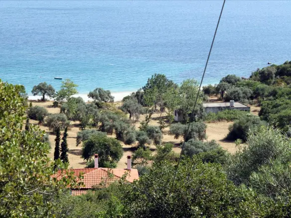 Land In Aristotle, Greece (8.620 M²)