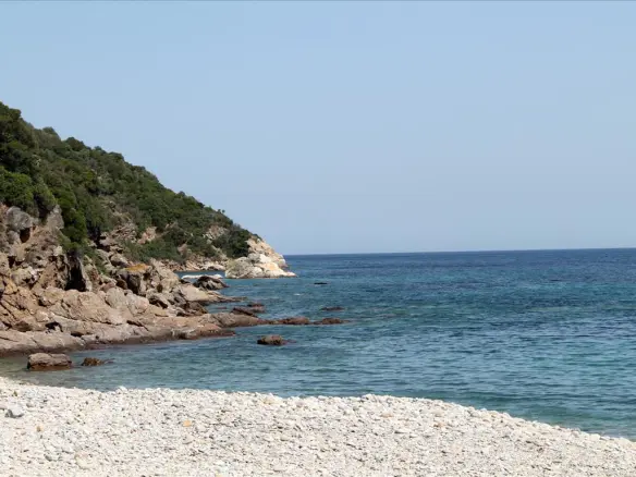 Land In Aristotle, Greece (8.620 M²)
