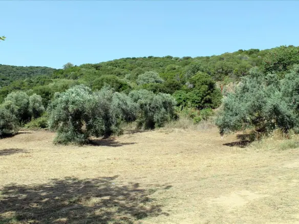 Land In Aristotle, Greece (8.620 M²)
