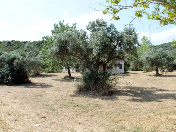 Land In Aristotle, Greece (8.620 M²)