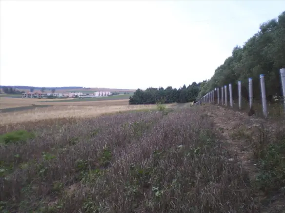 Land In Kassandra, Greece