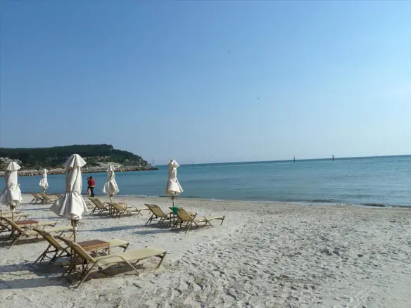 Land In Kassandra, Greece