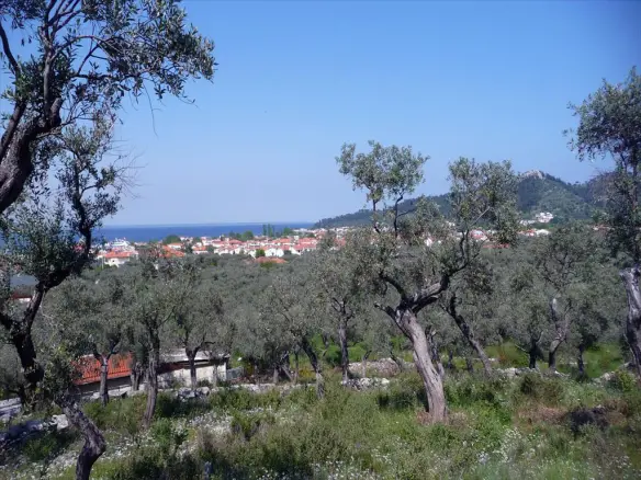 Land In Thasos, Greece