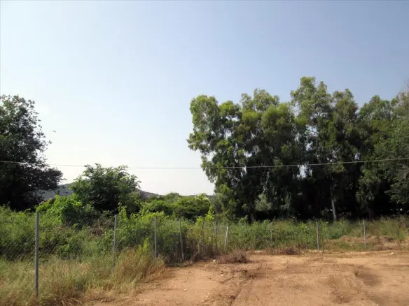 Land In Greece