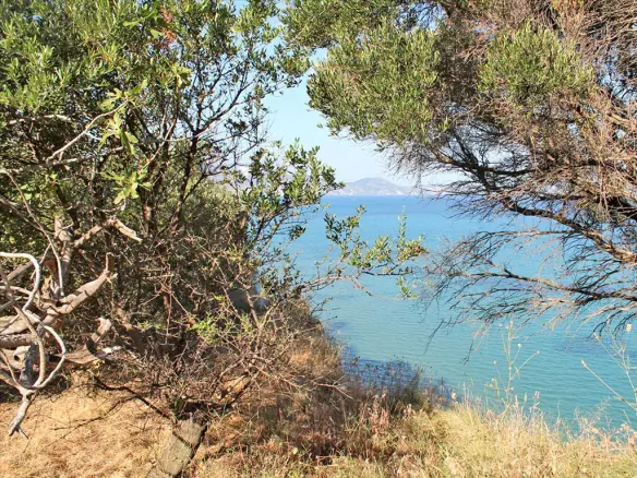 Land In Laganas, Greece (4.500 M²)