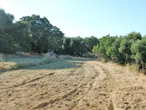 Land In Laganas, Greece (4.500 M²)