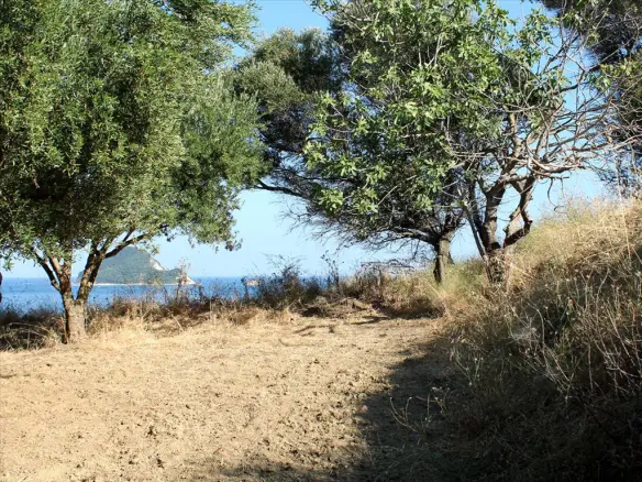 Land In Laganas, Greece (4.500 M²)