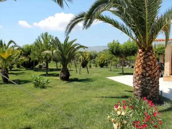 5-bedroom Detached House In Main Town Area, Greece (225 M²)