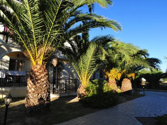 Hotel In Laganas, Greece (1.184 M²)