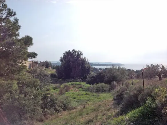 Land In Kranidi, Greece