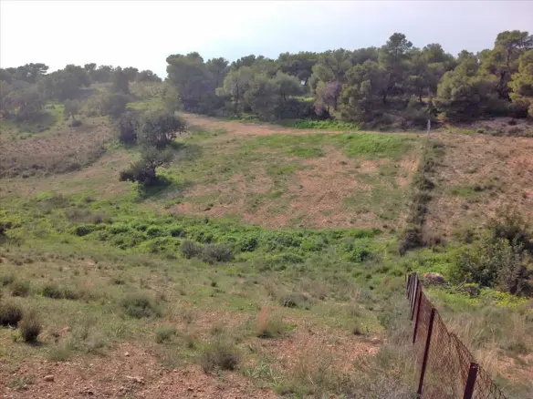 Land In Kranidi, Greece