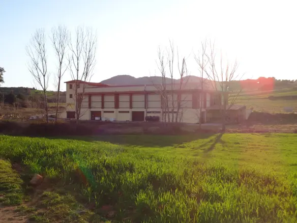 Business In Aristotle, Greece (1.375 M²)