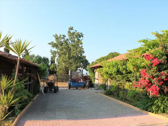 4-bedroom Villa In Dytikis Achaias, Greece (600 M²)