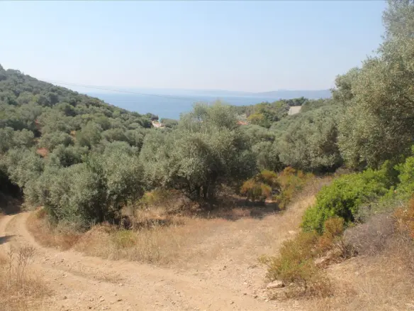 Land In Aristotle, Greece