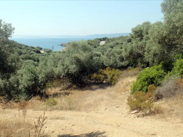 Land In Aristotle, Greece