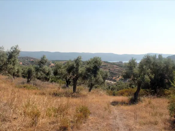Land In Aristotle, Greece