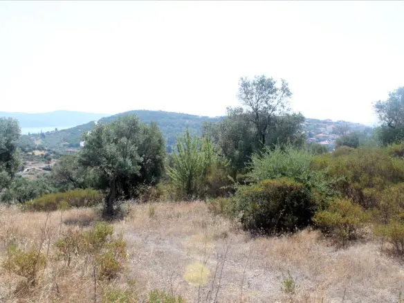 Land In Aristotle, Greece