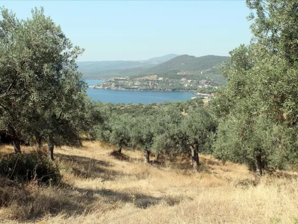 Land In Aristotle, Greece