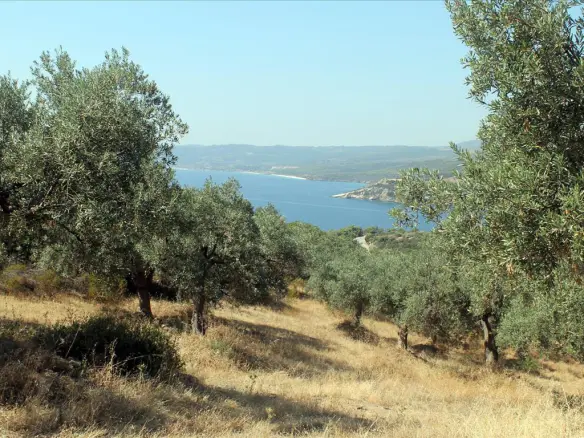 Land In Aristotle, Greece