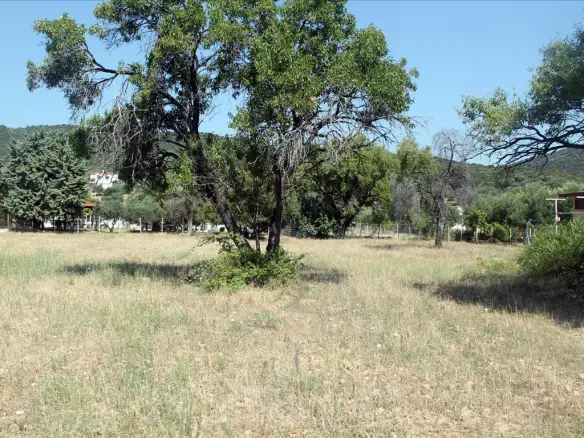Land In Aristotle, Greece