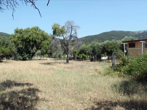 Land In Aristotle, Greece