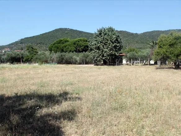 Land In Aristotle, Greece