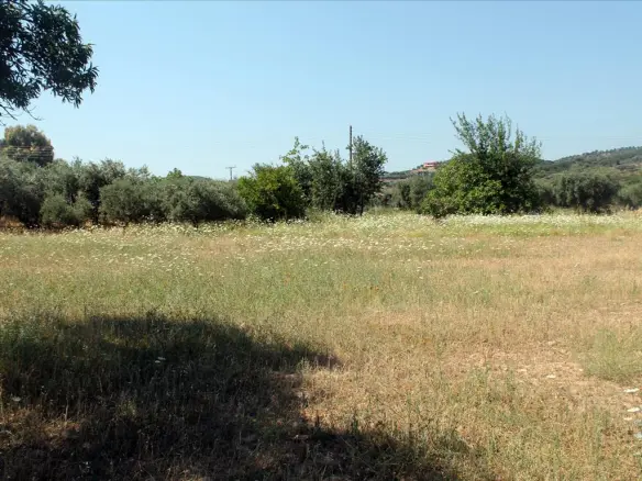 Land In Aristotle, Greece