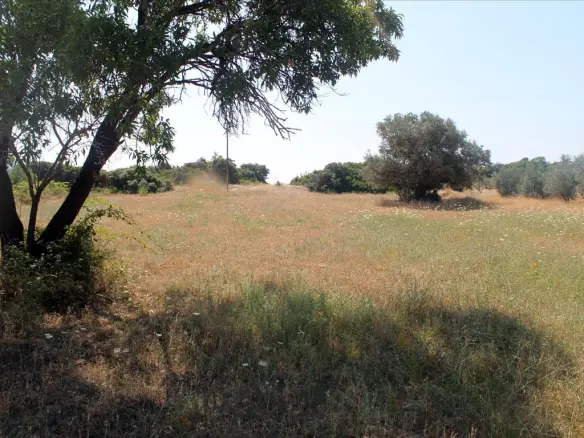 Land In Aristotle, Greece